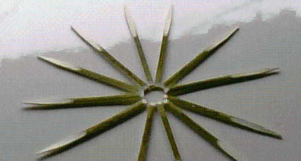 福建省浦城縣華興餐具廠 匠心打造“新黑文字”牙簽，品味生活的精致細(xì)節(jié)